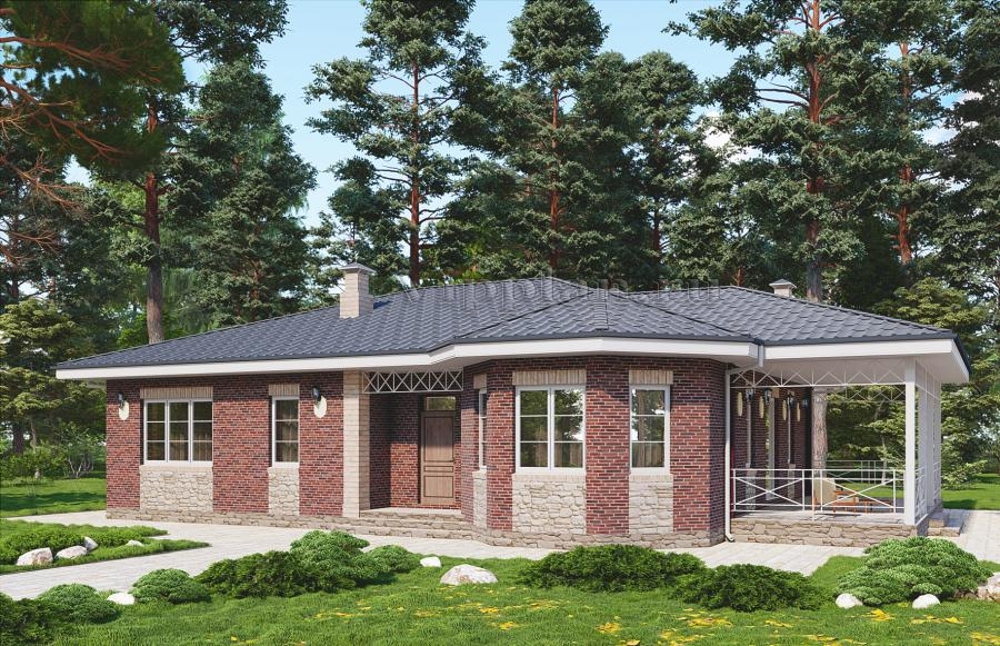 Одноэтажный дом с террасой, тремя спальнями и просторной гостиной